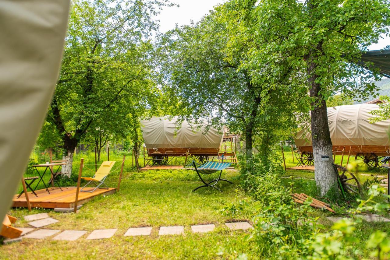 Dragonfly Gardens - The Wagons Ξενοδοχείο Μπρασόβ Εξωτερικό φωτογραφία