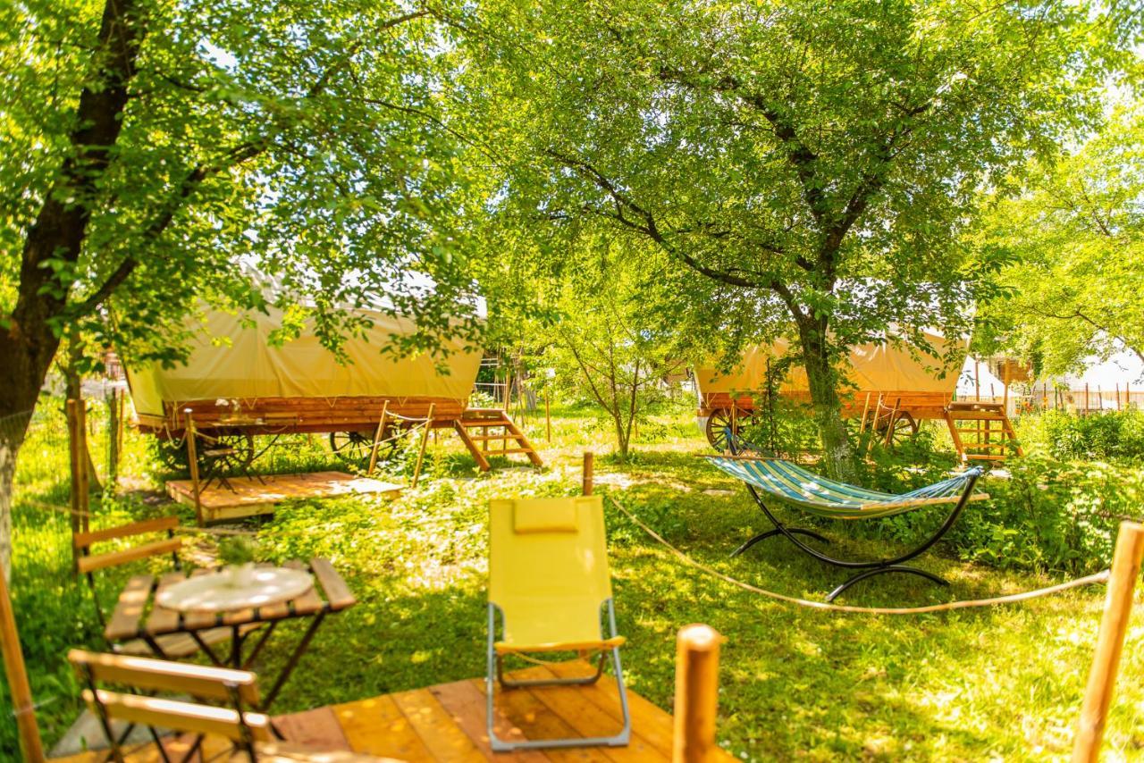Dragonfly Gardens - The Wagons Ξενοδοχείο Μπρασόβ Εξωτερικό φωτογραφία