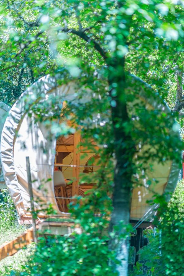 Dragonfly Gardens - The Wagons Ξενοδοχείο Μπρασόβ Εξωτερικό φωτογραφία