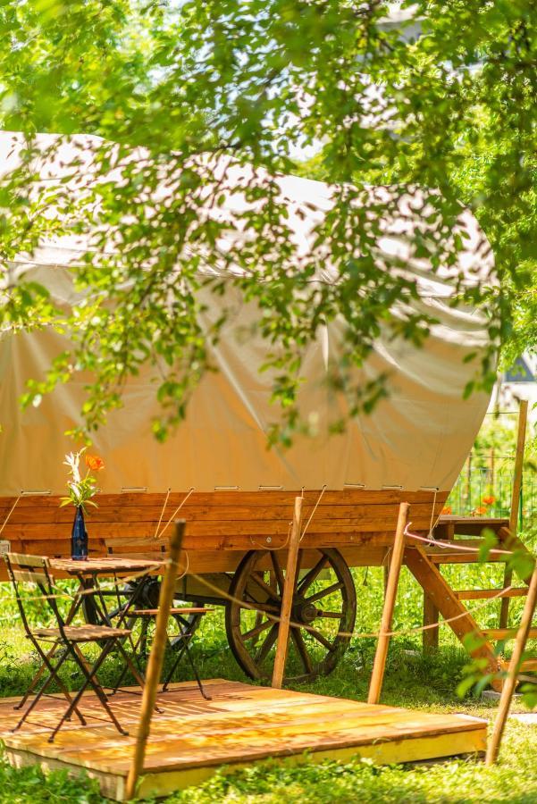Dragonfly Gardens - The Wagons Ξενοδοχείο Μπρασόβ Εξωτερικό φωτογραφία