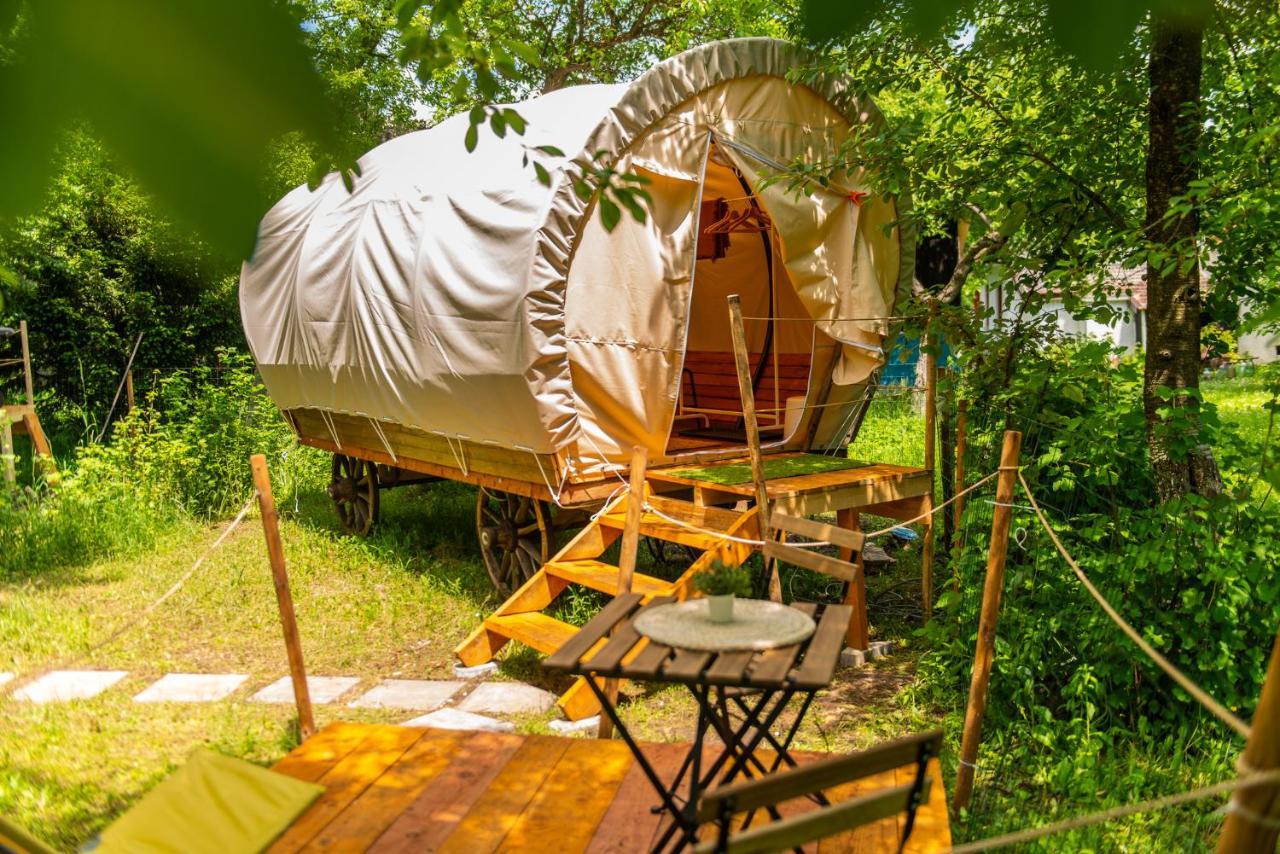 Dragonfly Gardens - The Wagons Ξενοδοχείο Μπρασόβ Εξωτερικό φωτογραφία